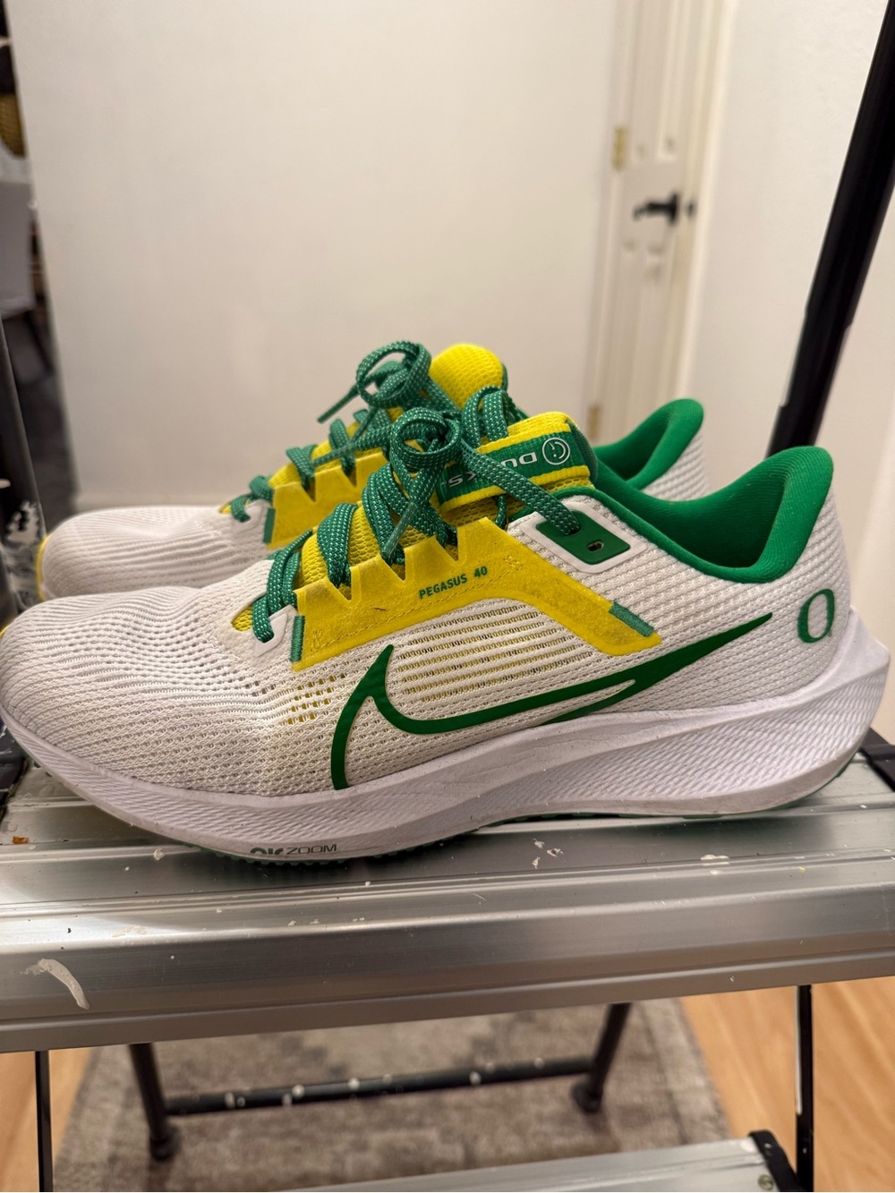 Nike Pegasus 40 - Oregon Ducks